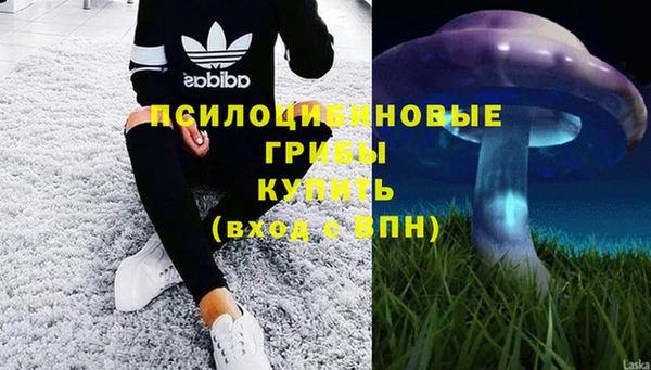 молекула духа Балабаново